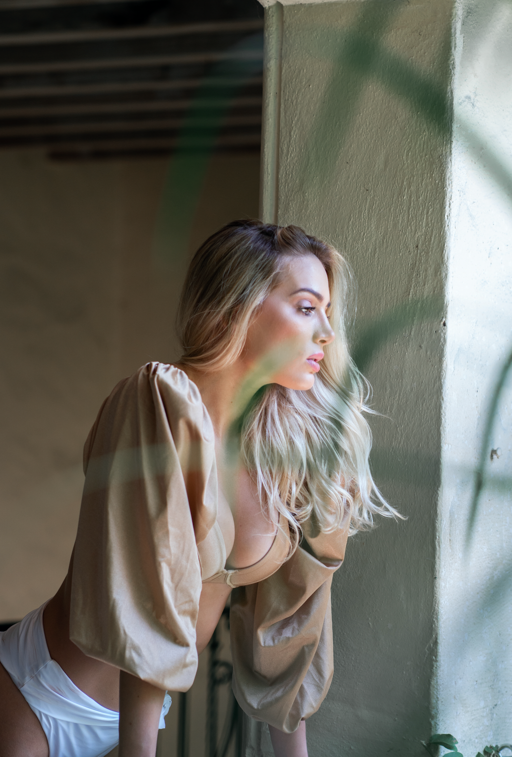 Gold Alma Sleeves